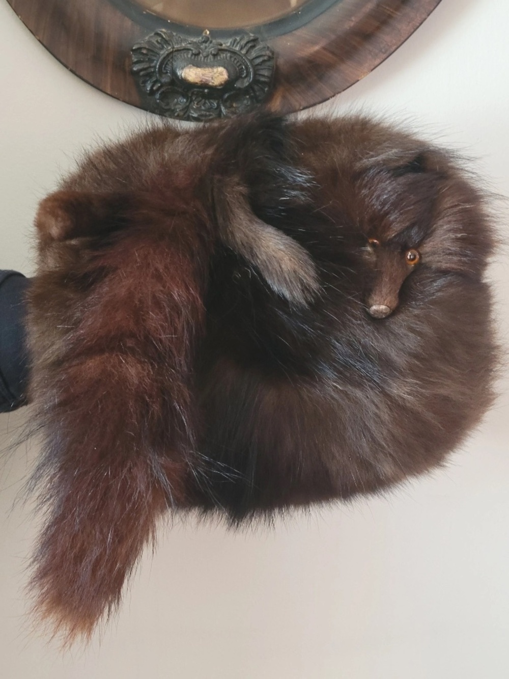 1890’s Belle Époque Brown Fox Fur Muff with Head and Tail Attached
